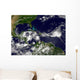 Hurricane Alex Develops Western Wall Decal