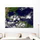 Hurricane Alex Develops Western Wall Decal