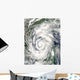 Tropical Storm Alex over Wall Decal