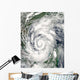Tropical Storm Alex over Wall Decal