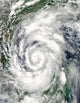 Tropical Storm Alex over Wall Decal