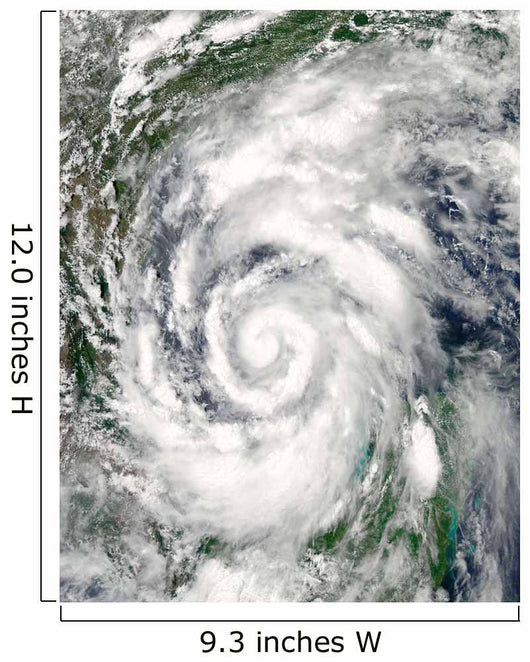 Tropical Storm Alex over Wall Decal