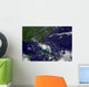 Tropical Storm Bonnie Wall Decal