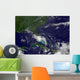 Tropical Storm Bonnie Wall Decal