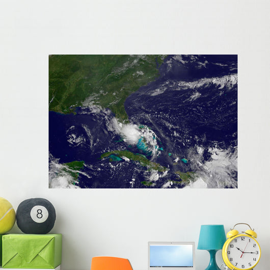 Tropical Storm Bonnie Wall Decal