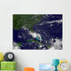 Tropical Storm Bonnie Wall Decal