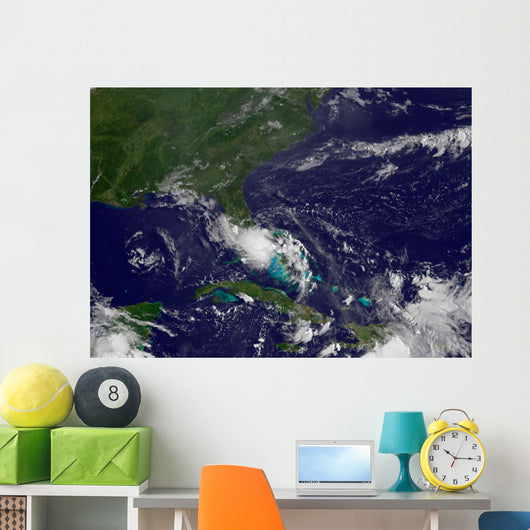 Tropical Storm Bonnie Wall Decal