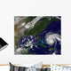 Hurricane Earl Wall Decal Design 2
