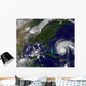 Hurricane Earl Wall Decal Design 2