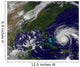 Hurricane Earl Wall Decal Design 2