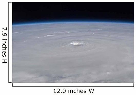 Hurricane Earl Wall Decal Design 1