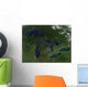 Satellite Great Lakes Wall Decal Design 1