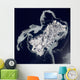 Sea Ice Surrounds Volcanic Wall Decal