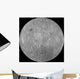 Far Side Moon Wall Decal
