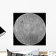 Far Side Moon Wall Decal