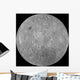 Far Side Moon Wall Decal