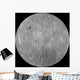 Far Side Moon Wall Decal
