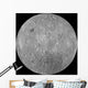 Far Side Moon Wall Decal
