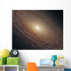 Spiral Galaxy Ngc 2841 Wall Decal