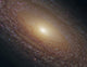 Spiral Galaxy Ngc 2841 Wall Decal