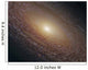Spiral Galaxy Ngc 2841 Wall Decal