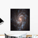 Spiral Galaxy Ngc 5584 Wall Decal