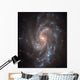 Spiral Galaxy Ngc 5584 Wall Decal