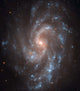 Spiral Galaxy Ngc 5584 Wall Decal