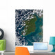 Phytoplankton Bloom off Coast Wall Decal