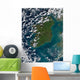 Phytoplankton Bloom off Coast Wall Decal