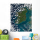 Phytoplankton Bloom off Coast Wall Decal