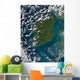 Phytoplankton Bloom off Coast Wall Decal