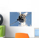 Soyuz Tma-20 Spacecraft Wall Decal Design 4