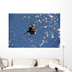 Soyuz Tma-20 Spacecraft Wall Decal Design 3