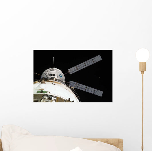Johannes Kepler Automated Transfer Wall Decal