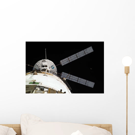Johannes Kepler Automated Transfer Wall Decal