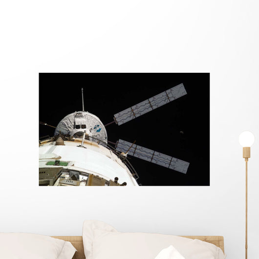Johannes Kepler Automated Transfer Wall Decal