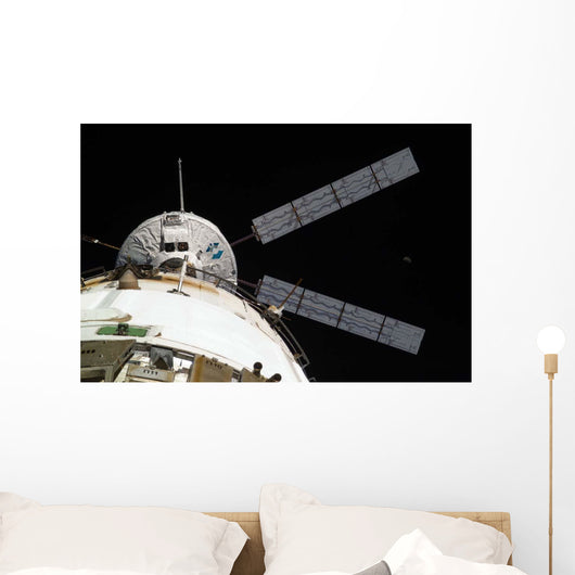 Johannes Kepler Automated Transfer Wall Decal