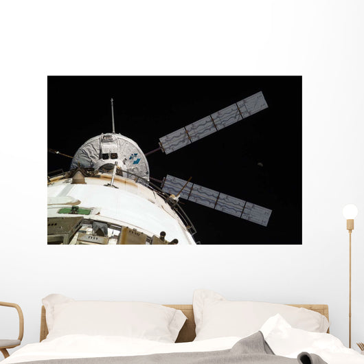 Johannes Kepler Automated Transfer Wall Decal