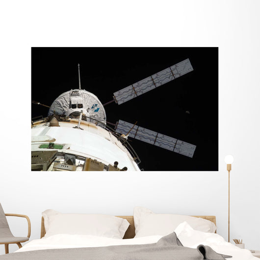 Johannes Kepler Automated Transfer Wall Decal