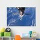 Space Shuttle Discovery Approaches Wall Decal Design 1