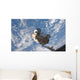 Mini Research Module 1 Wall Decal Design 1
