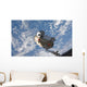 Mini Research Module 1 Wall Decal Design 1
