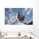 Mini Research Module 1 Wall Decal Design 1