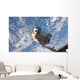 Mini Research Module 1 Wall Decal Design 1