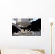 Permanent Multipurpose Module Grasp Wall Decal Design 1