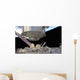 Permanent Multipurpose Module Grasp Wall Decal Design 1