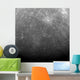 Surface Mercury Wall Decal