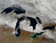 Satellite Snow across Wisconsin Wall Decal