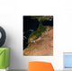 Satellite Morocco Wall Decal